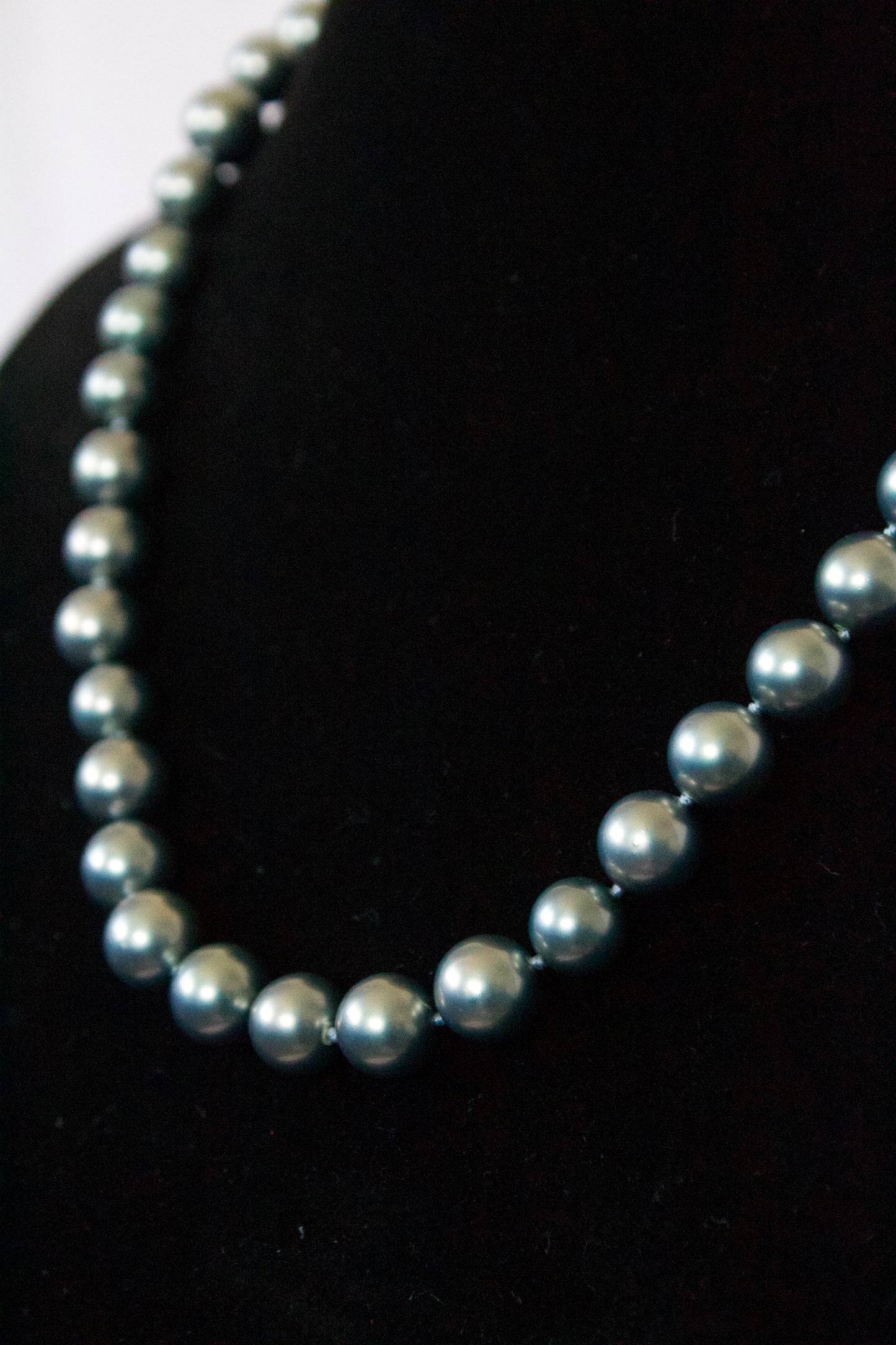 Blue/Gray Shell Pearl Necklace