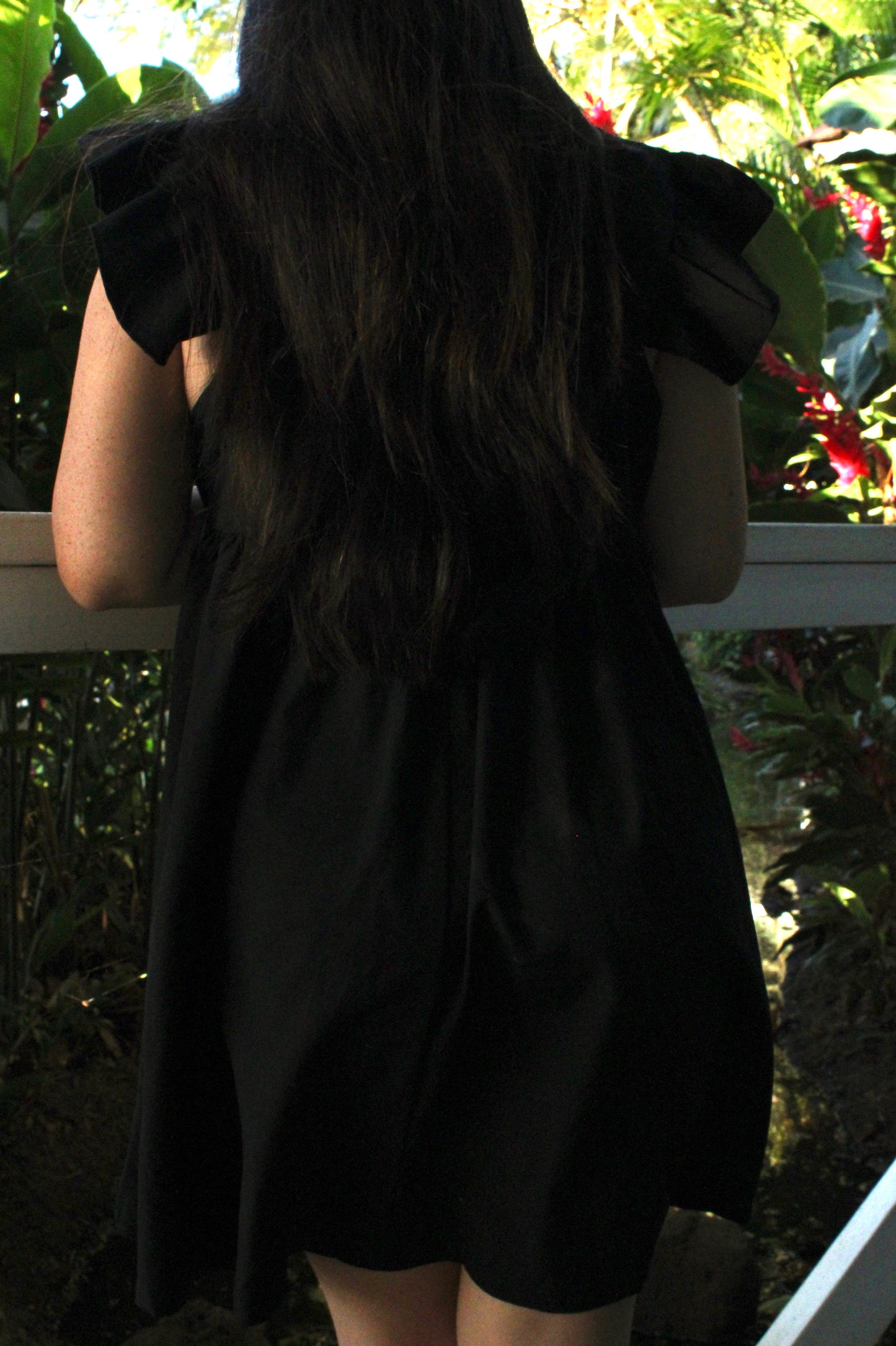 Ruffle Sleeve Dress